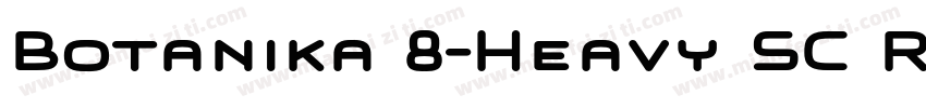 Botanika 8-Heavy SC Regular字体转换